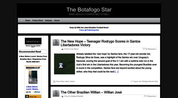 thebotafogostar.com