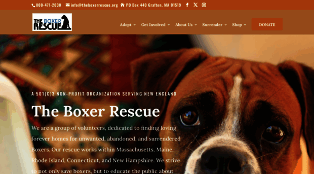 theboxerrescue.org