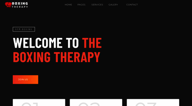 theboxingtherapygym.com