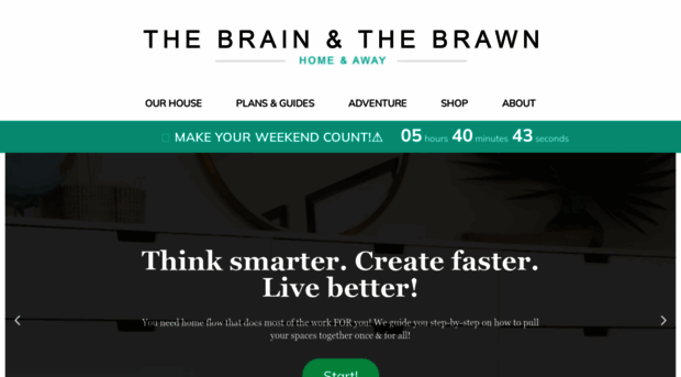 thebrainandthebrawn.com