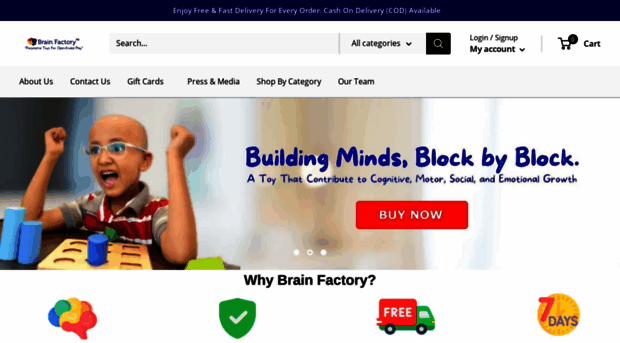 thebrainfactory.in