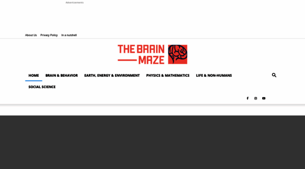 thebrainmaze.com