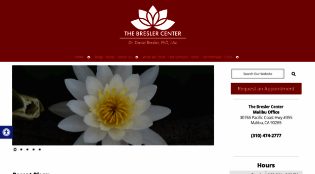 thebreslercenter.com