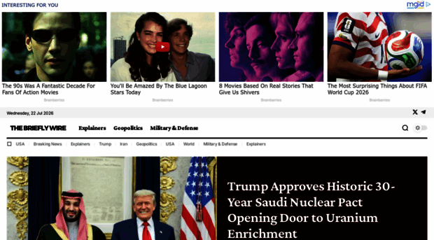 thebrieflywire.com