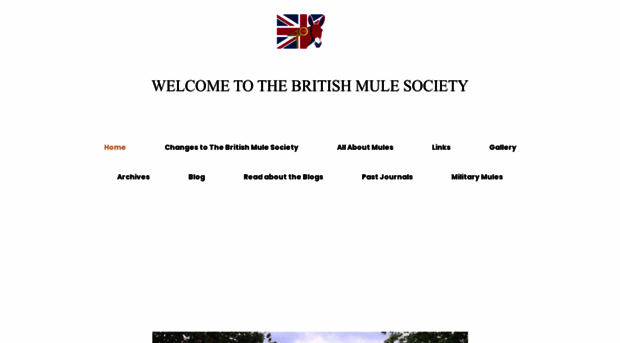 thebritishmulesociety.com
