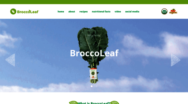 thebroccoleaf.com