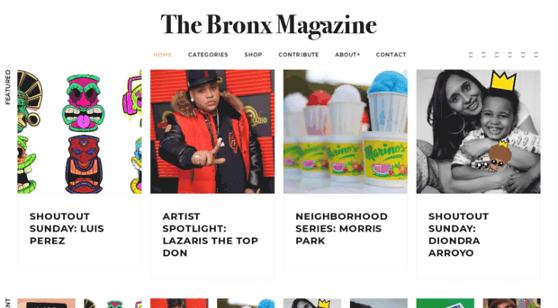 thebronxblog.com