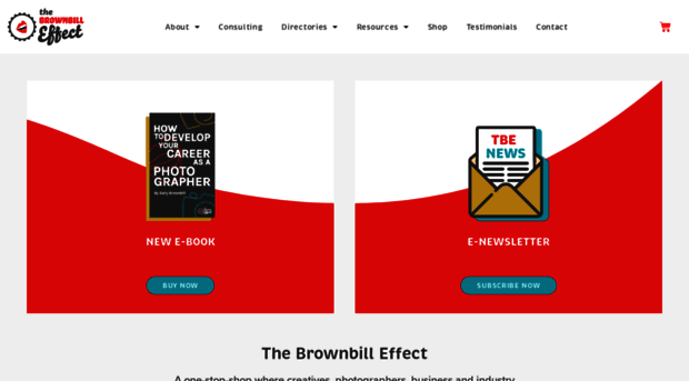 thebrownbilleffect.com