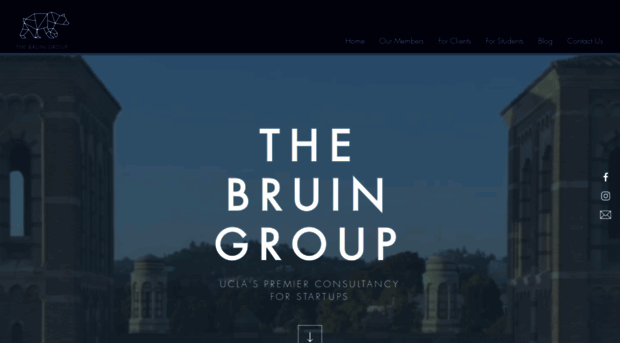 thebruingroup.weebly.com