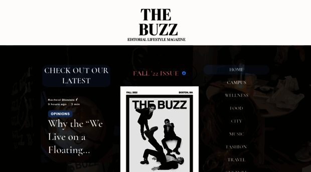 thebubuzz.com