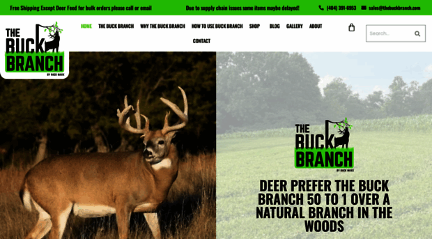 thebuckbranch.com