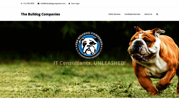 thebulldogcompanies.com