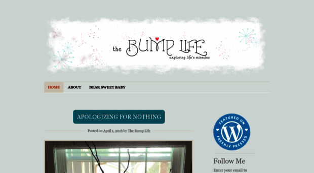 thebumplife.com