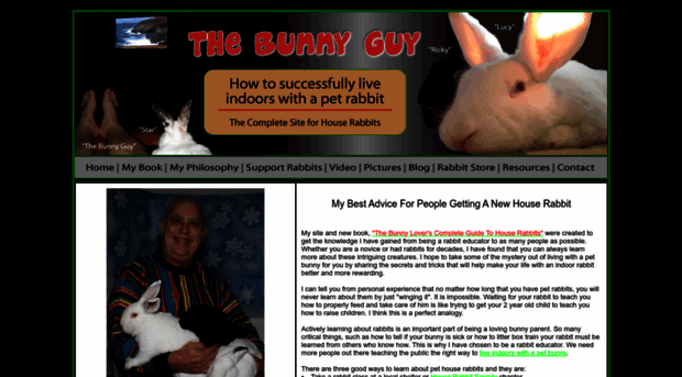 thebunnyguy.com