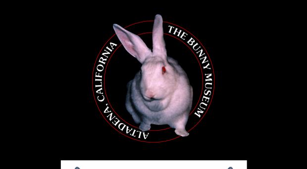 thebunnymuseum.com