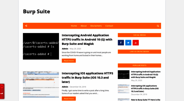 theburpsuite.com