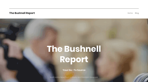 thebushnellreport.com