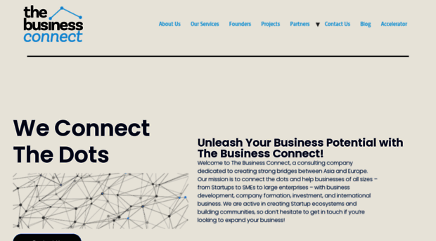 thebusinessconnect.com