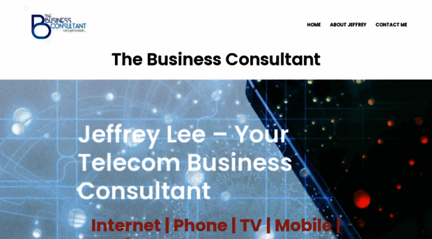 thebusinessconsultant.biz