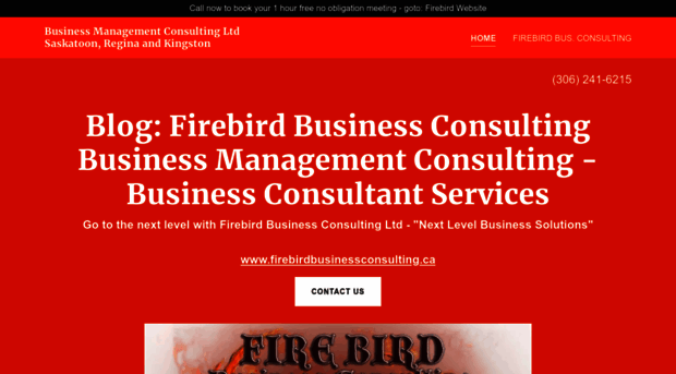 thebusinessconsultant.ca