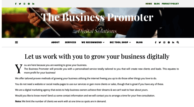 thebusinesspromoter.com