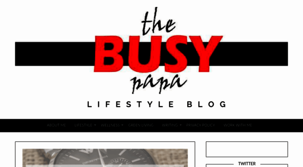 thebusypapa.com