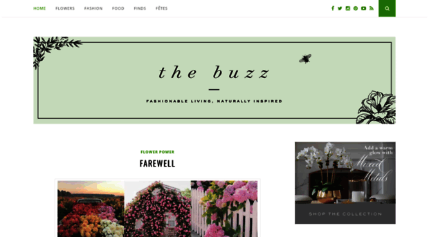 thebuzz.dianejameshome.com