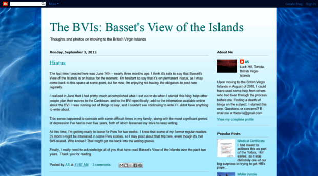 thebvis.blogspot.com