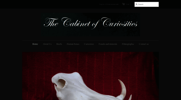 thecabinetofcuriosities.co.uk