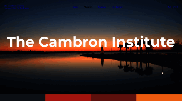 thecambroninstitute.org