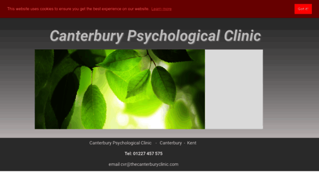 thecanterburyclinic.com