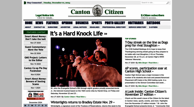 thecantoncitizen.com