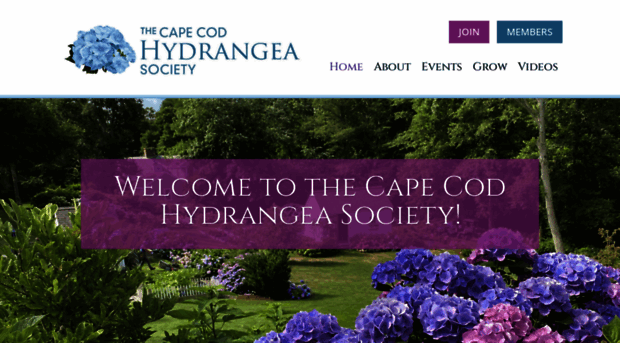 thecapecodhydrangeasociety.org