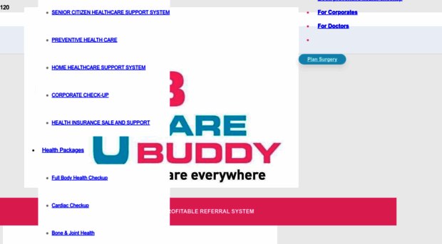thecarebuddy.com