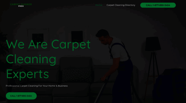 thecarpetcleanerpros.com