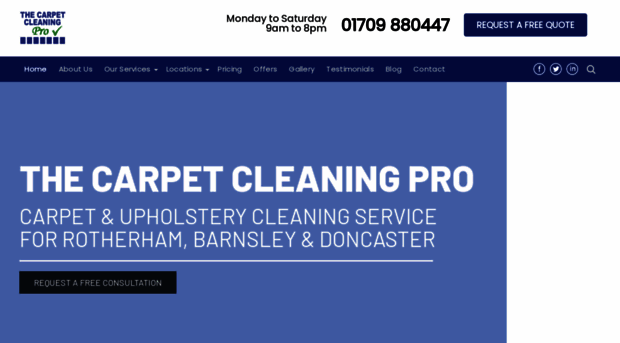 thecarpetcleaningpro.co.uk