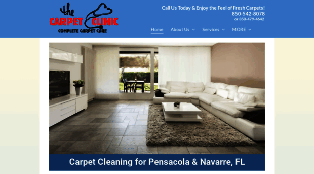 thecarpetclinic.com