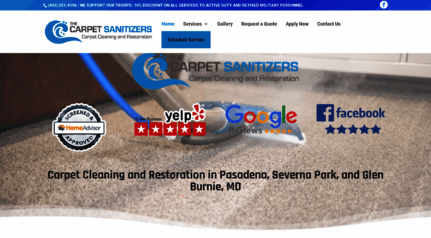 thecarpetsanitizers.com