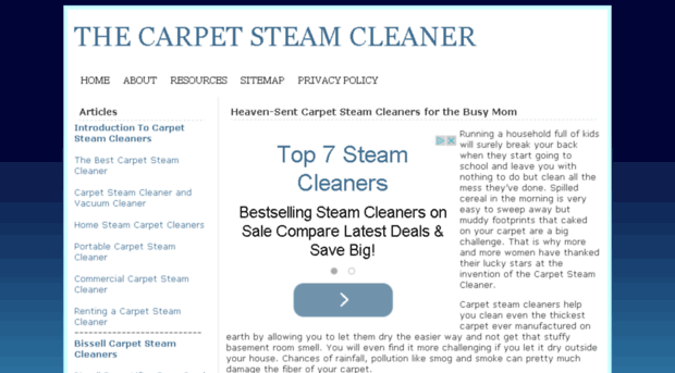 thecarpetsteamcleaner.com