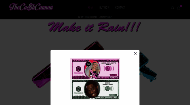 thecashcannon.com