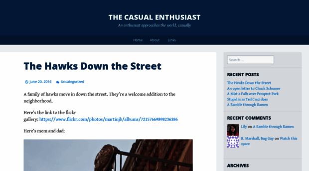 thecasualenthusiast.com