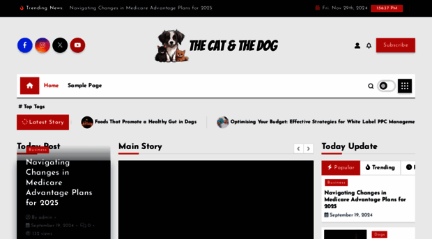 thecatandthedog.com