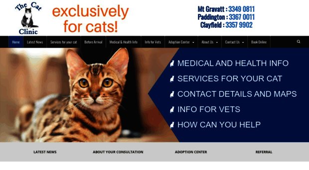 thecatclinic.com.au