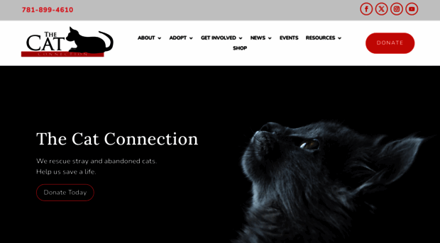 thecatconnection.org