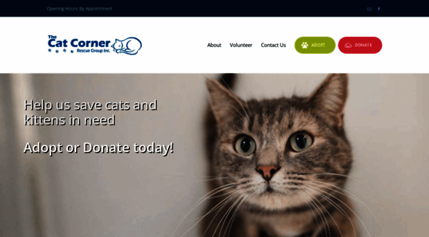 thecatcorner.com.au