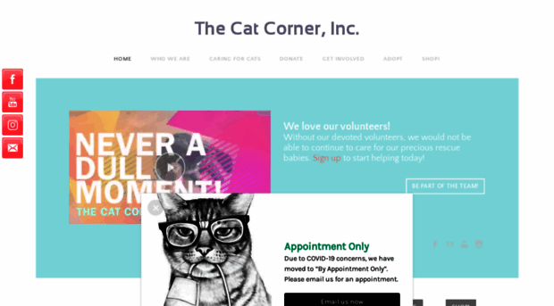 thecatcornerinc.com