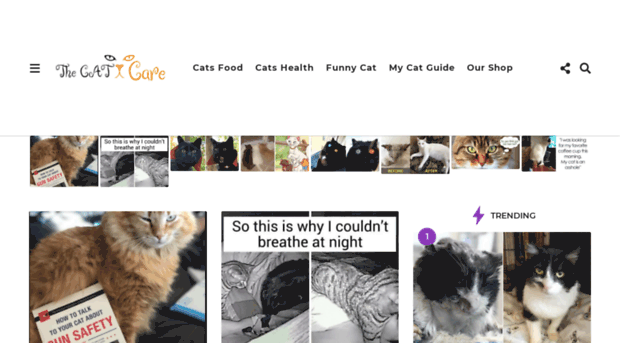 thecatscare.com