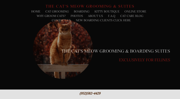 thecatsmeowgrooming.com