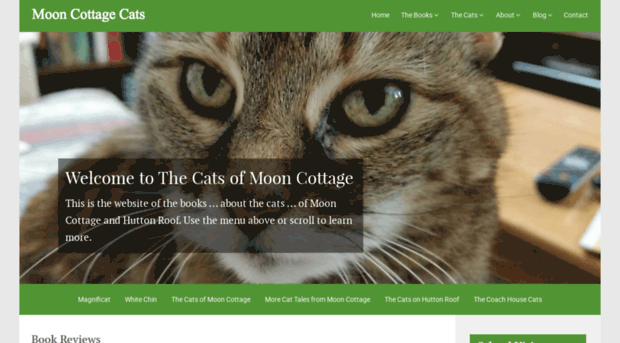 thecatsofmooncottage.co.uk