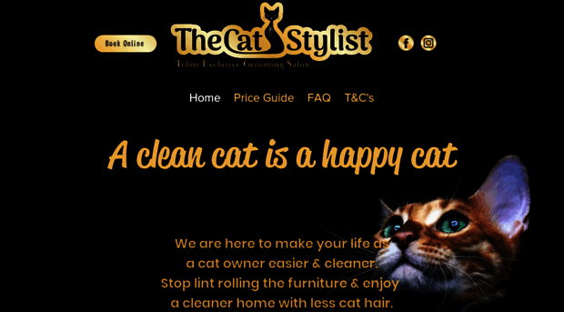 thecatstylist.com.au